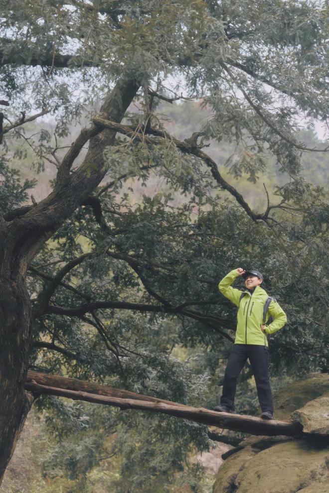 山中打一数字__山中百科