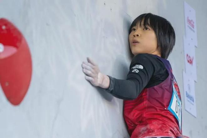 _山中百科_山中打一数字