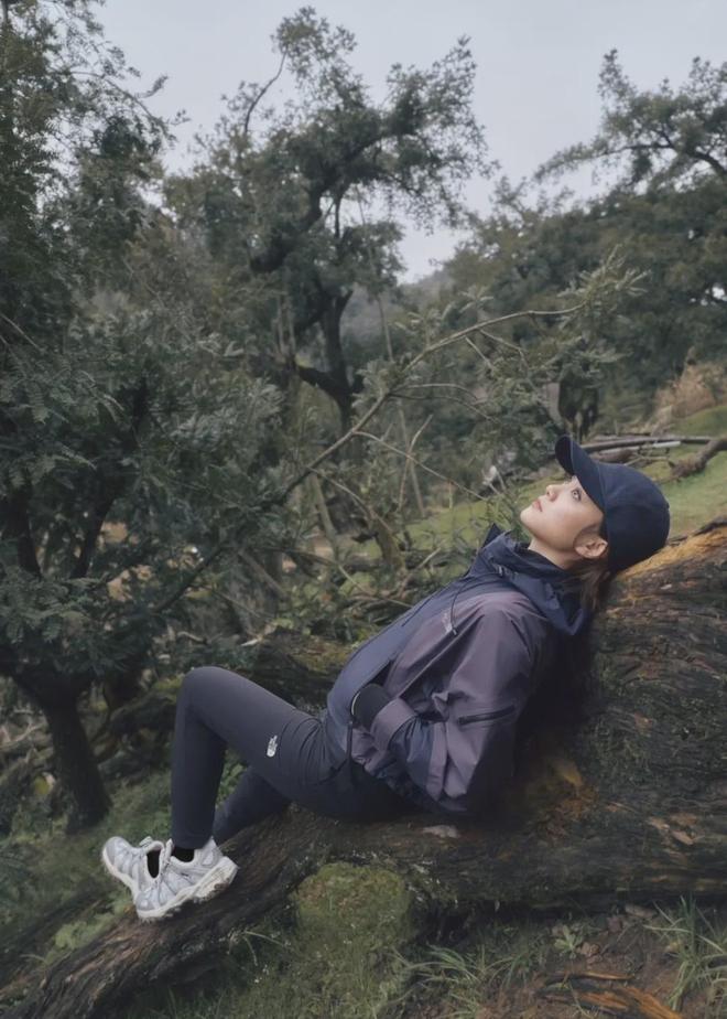 山中打一数字_山中百科_