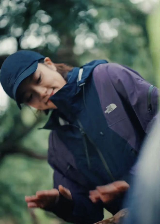 _山中打一数字_山中百科