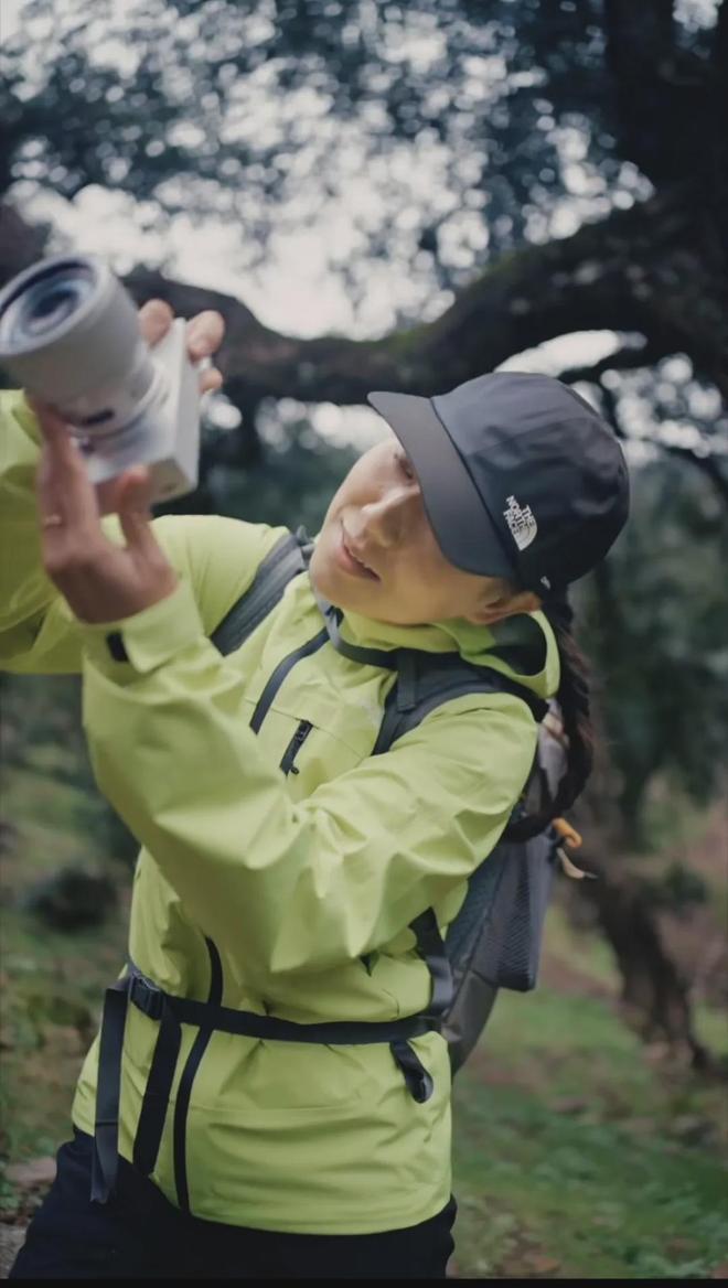 山中百科__山中打一数字