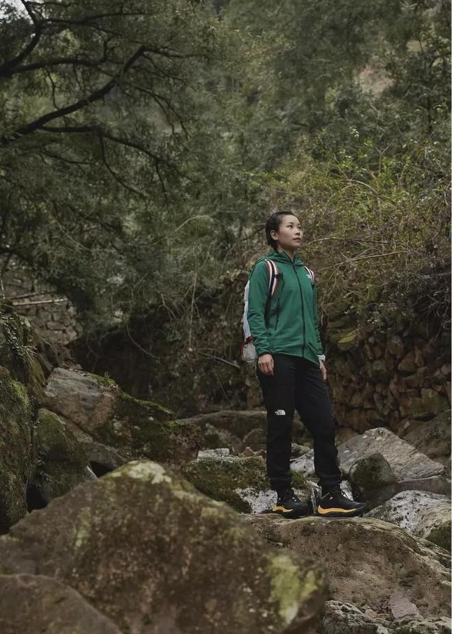 山中百科_山中打一数字_