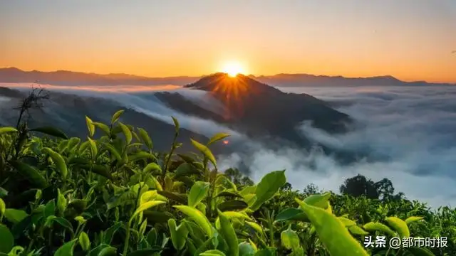 把日常过成任务的软件_临沧城有什么好玩的景点_