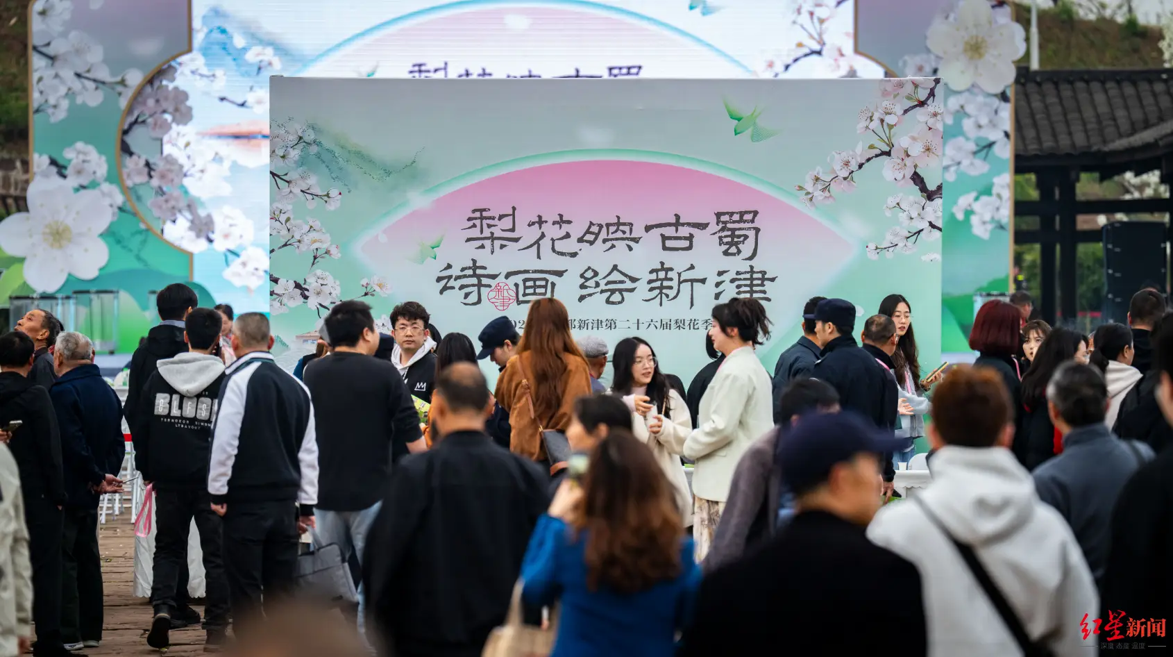 千亩梨花如雪，成都新津第二十六届梨花季浪漫启幕，六大核心点位各展特色