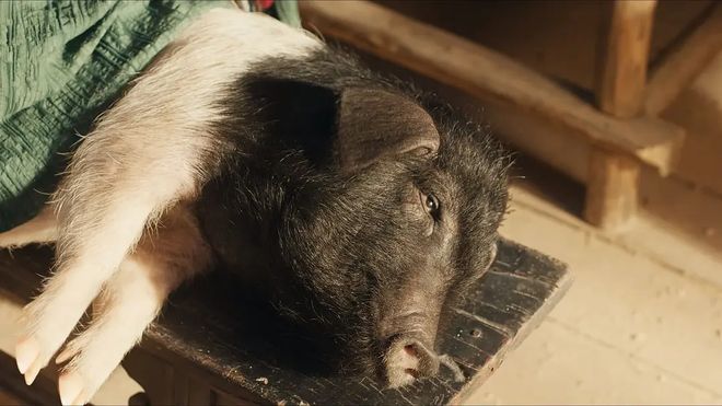 偶像好看吗_剧偶像删减了啥_