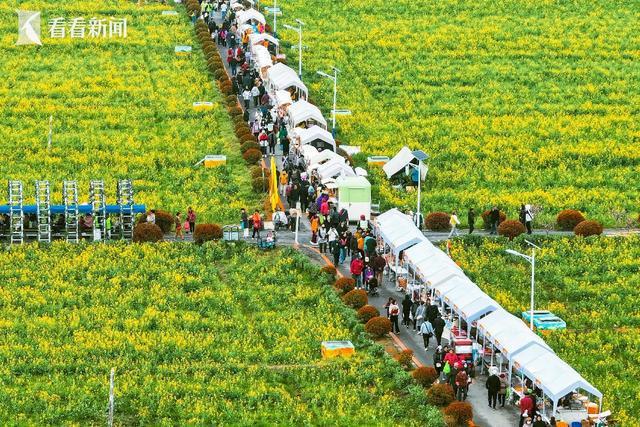 _上海春日好去处_上海乡村花园拍摄地点