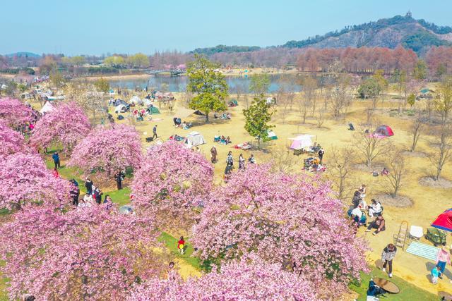 上海春日好去处_上海乡村花园拍摄地点_
