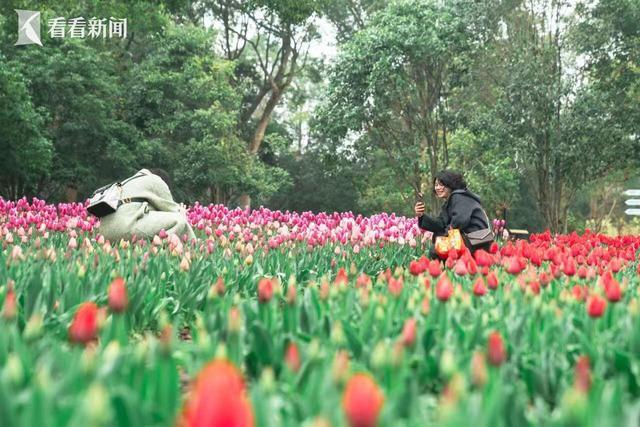 _上海春日好去处_上海乡村花园拍摄地点