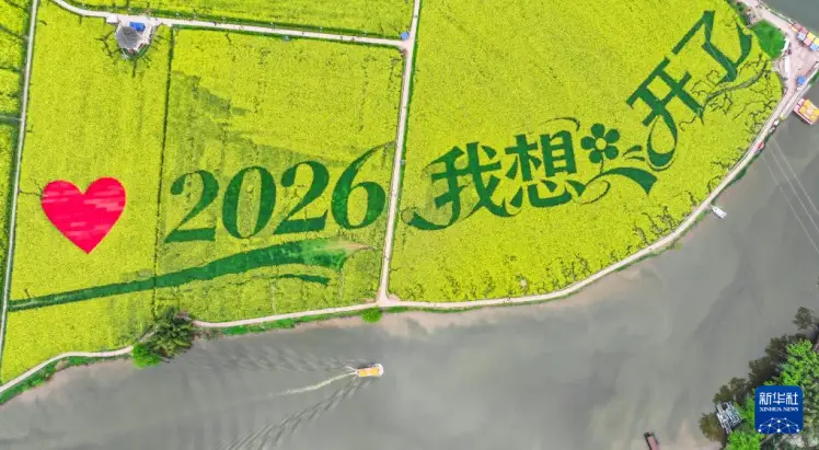 潼南油菜花开了没有__重庆潼南区油菜花