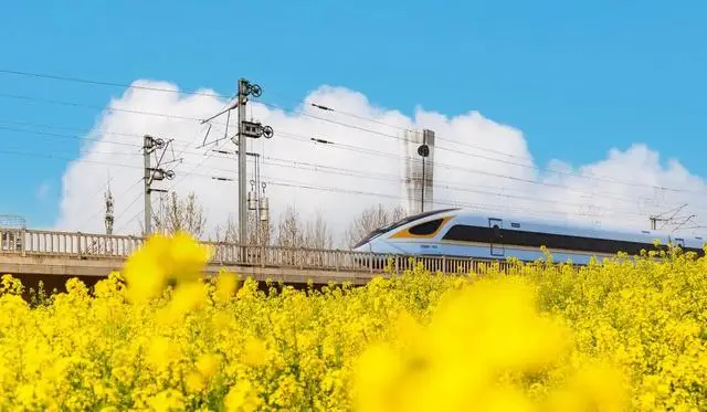 河南春天看花的地方_河南春季赏花_