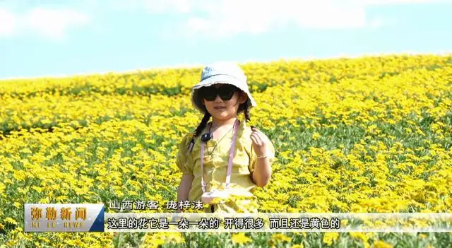 弥勒太平湖花海是什么花__弥勒太平湖景区门票多少钱