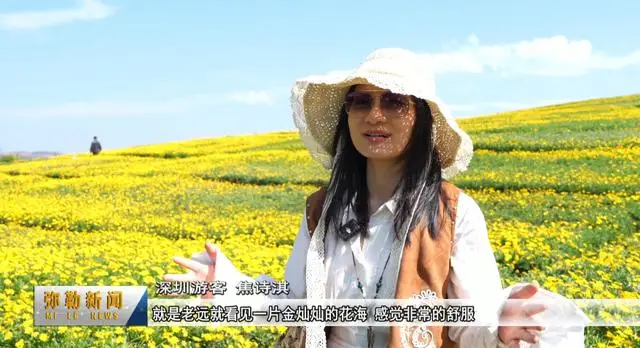 _弥勒太平湖花海是什么花_弥勒太平湖景区门票多少钱