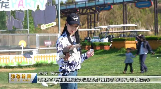 弥勒太平湖景区门票多少钱__弥勒太平湖花海是什么花