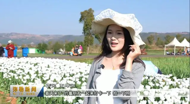 弥勒太平湖花海是什么花__弥勒太平湖景区门票多少钱