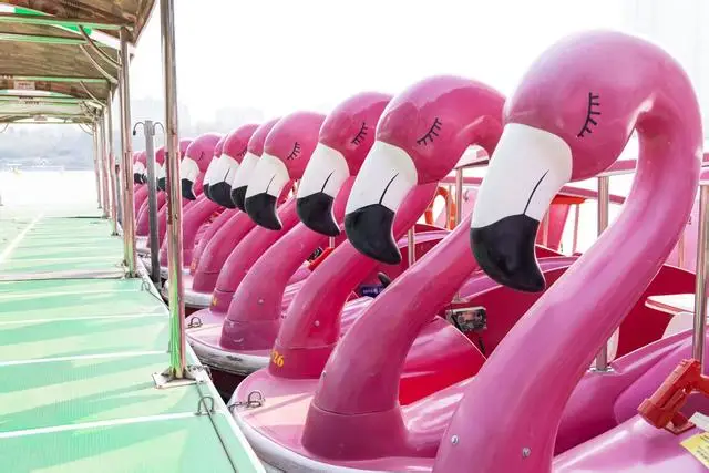 泛舟湖上，邂逅春天！紫竹院公园游船明日开航