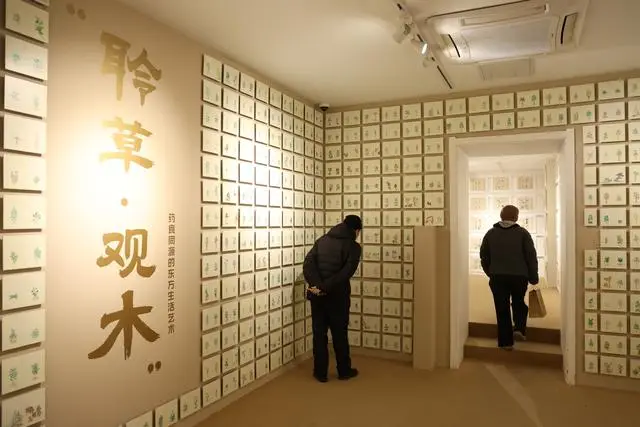 幼儿园放鞭炮__舌头上会长痘痘吗