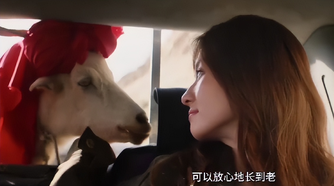 央视直播喀什_喀什电视台在线观看_