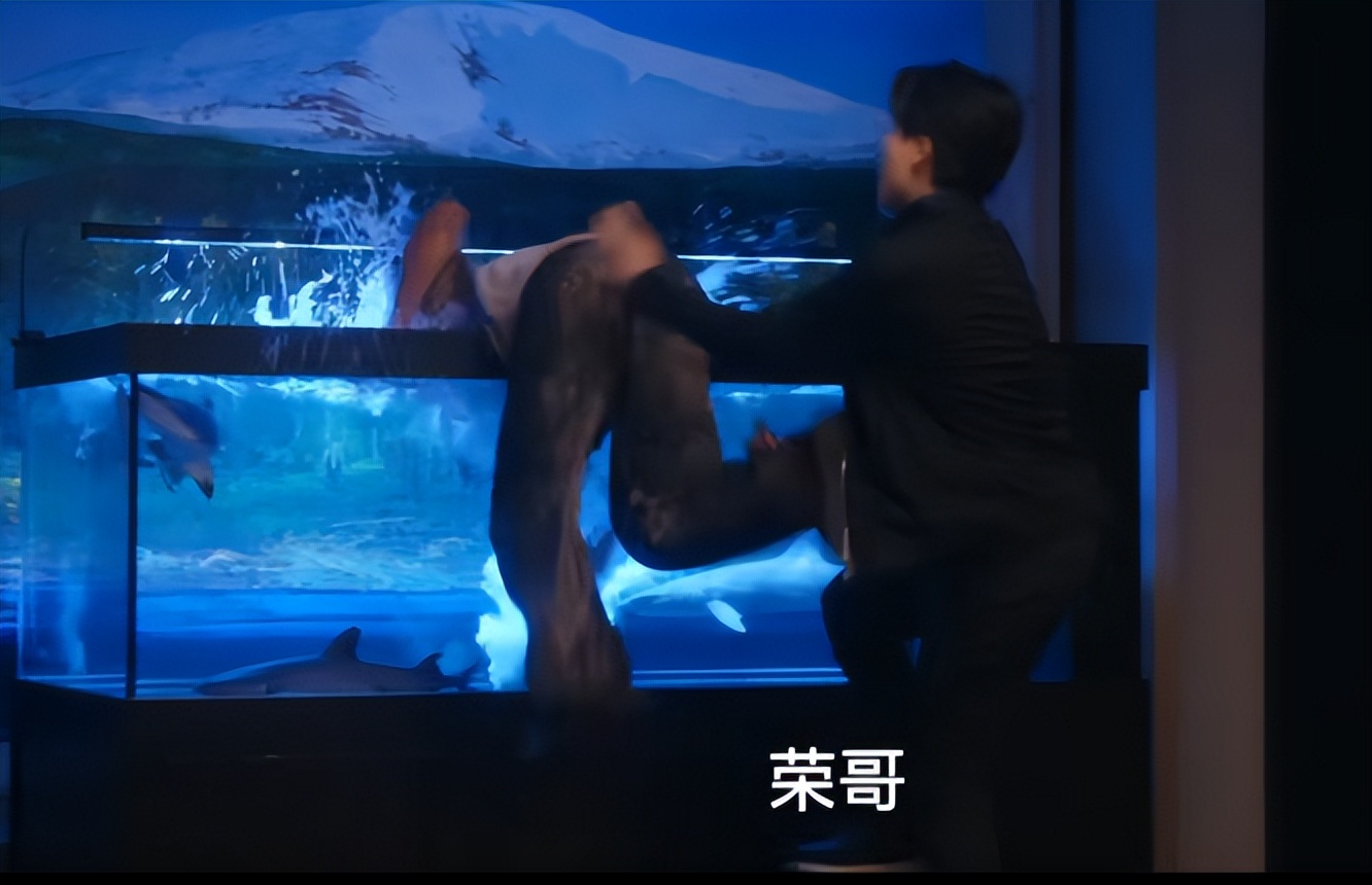 适合演高智商男演员_高智商犯罪演员表_