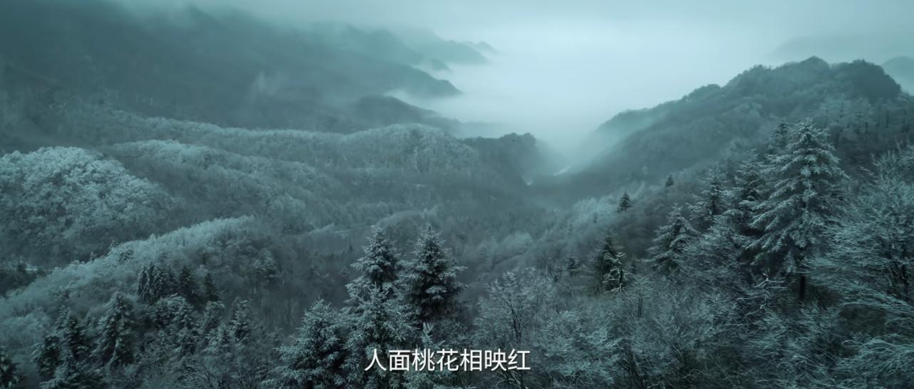 首播新剧_央视首播的电视剧_