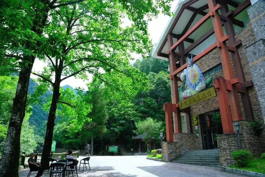 浙江万亩杜鹃花海__浙江省杜鹃花景点