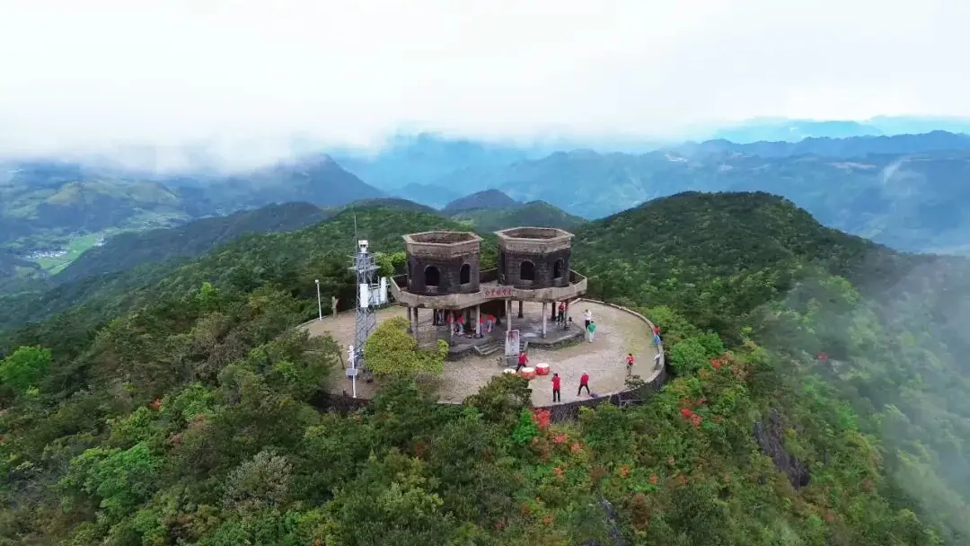 浙江省杜鹃花景点__浙江万亩杜鹃花海
