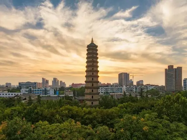 河南宠物友好景区__河南宠洞宠物服务有限公司