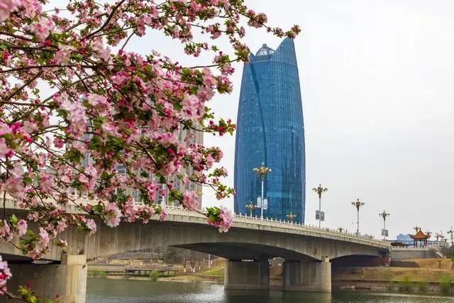 河南宠洞宠物服务有限公司_河南宠物友好景区_