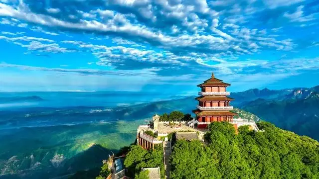 河南宠物友好景区__河南宠洞宠物服务有限公司