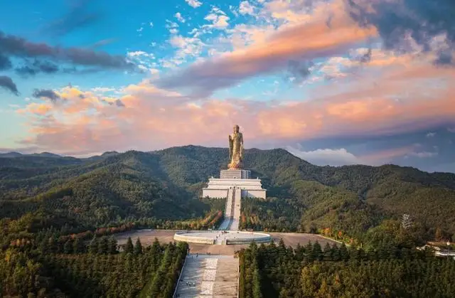 河南宠洞宠物服务有限公司_河南宠物友好景区_