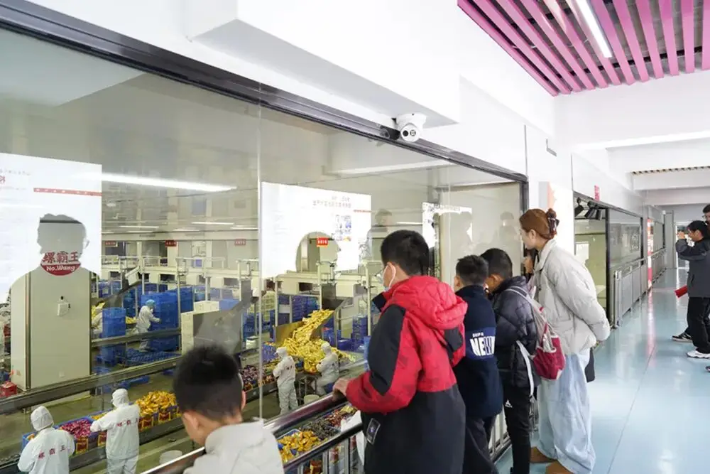 文化解码|不赶景点不打卡，这届年轻人爱上“慢充式旅游”__文化解码|不赶景点不打卡，这届年轻人爱上“慢充式旅游”