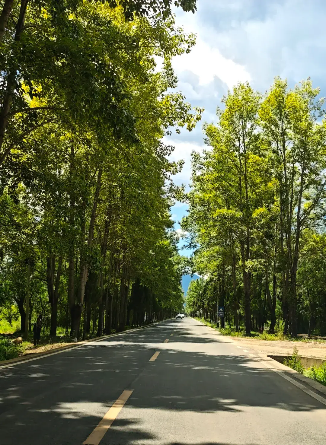 _清凉之旅 | 这个夏天,来盐源就对了_清凉之旅 | 这个夏天,来盐源就对了
