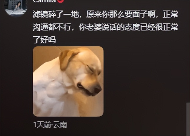 孙杨娱乐节目_特别关注孙杨主持人_