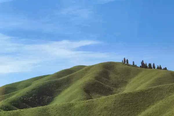 伊犁河谷：天山深处的四季牧歌