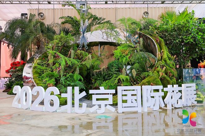 卟卟车粤语怎么说_脚肿了用醋泡脚有用吗_
