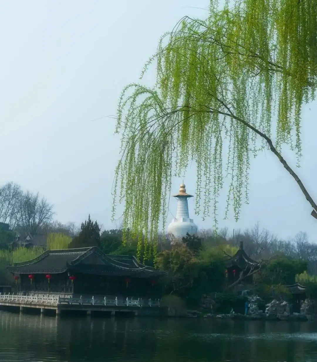 扬州竹枝词是谁写的_扬州的竹子_
