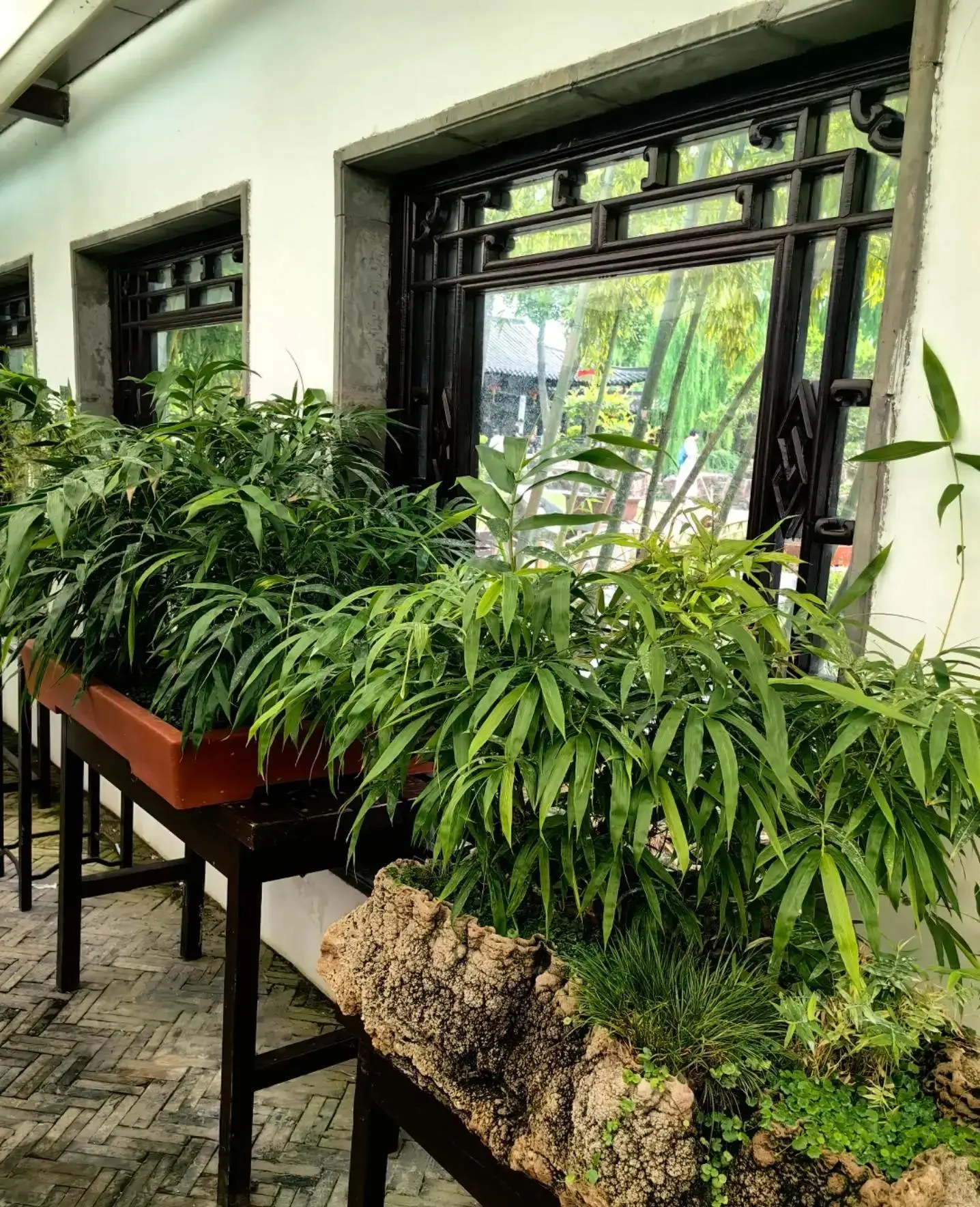 扬州竹枝词是谁写的_扬州的竹子_