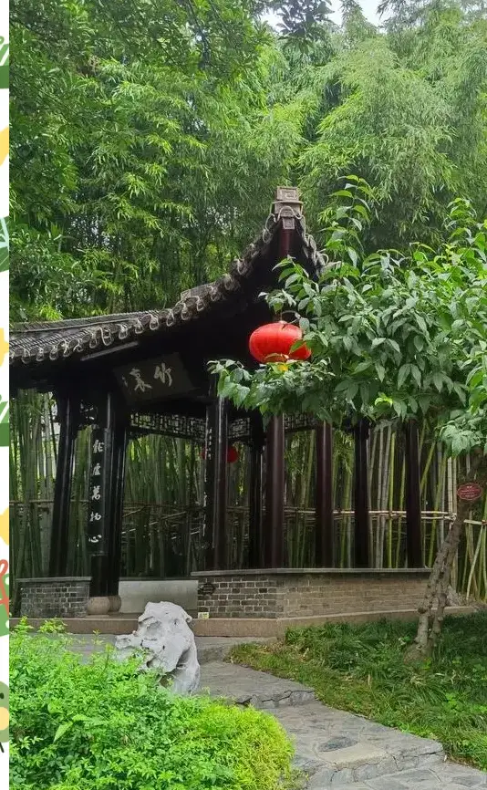 _扬州竹枝词是谁写的_扬州的竹子