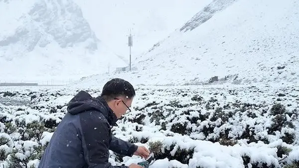 高原向高峰迈进_你在高原高原是哪儿_