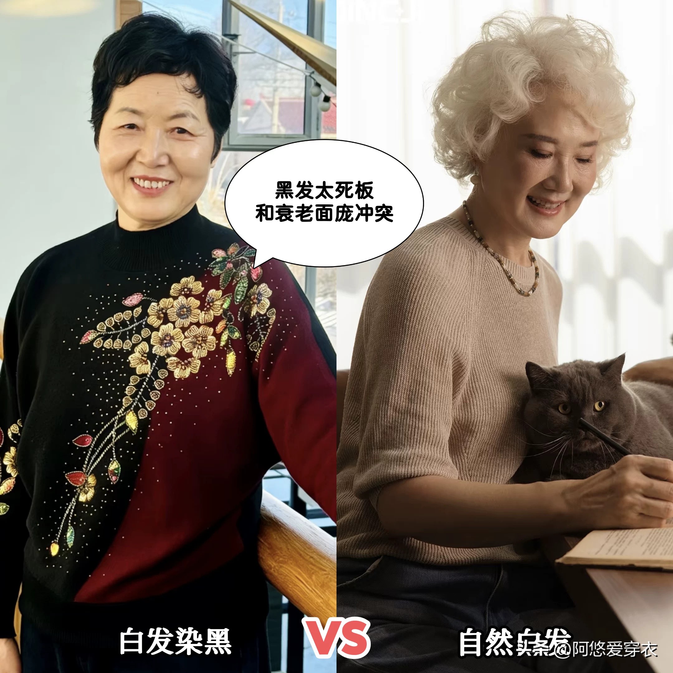 _白发染白发好看吗_染白发的发型