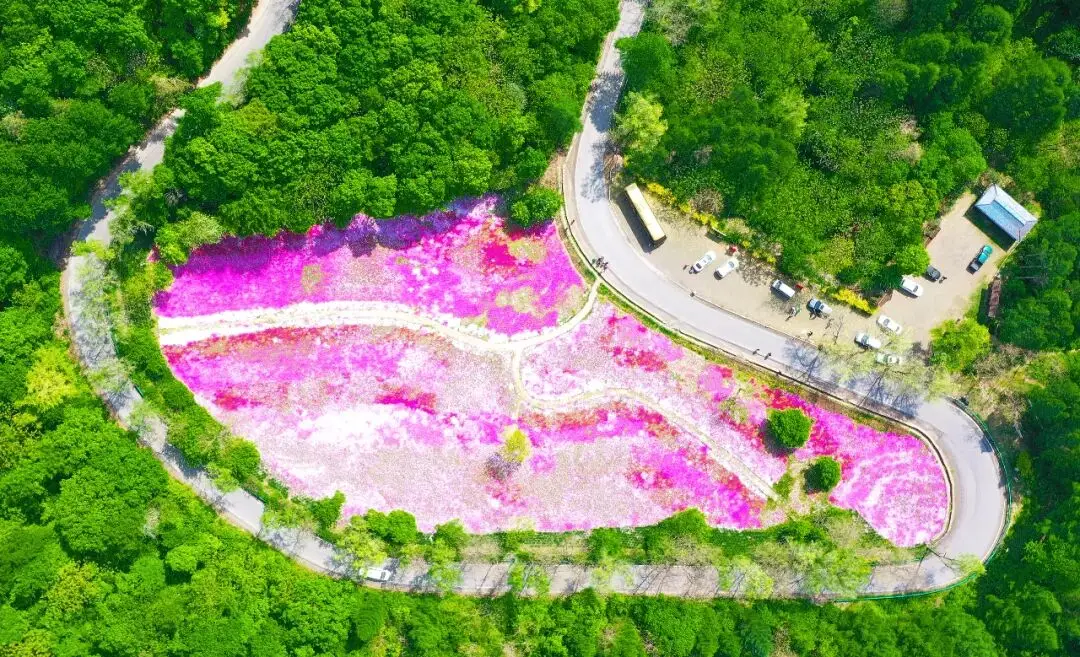 5月下旬适合去哪旅游_五月下旬去哪玩_