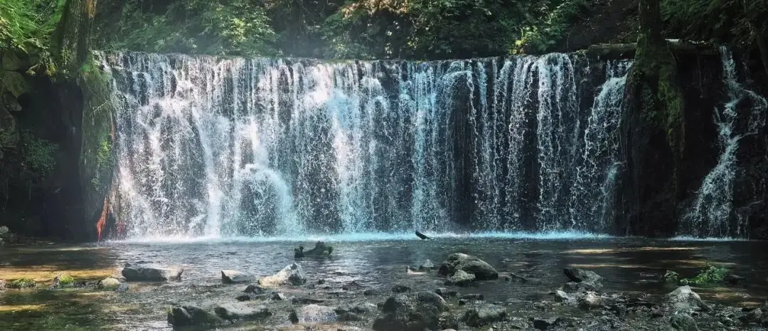 _5月下旬适合去哪旅游_五月下旬去哪玩