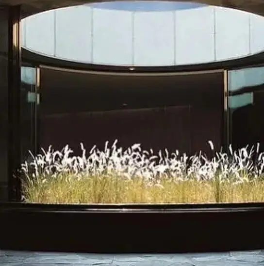 韩国研学旅行的发展_韩国研学旅行案例_