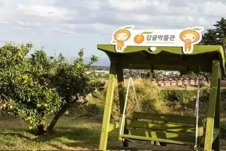韩国研学旅行的发展_韩国研学旅行案例_